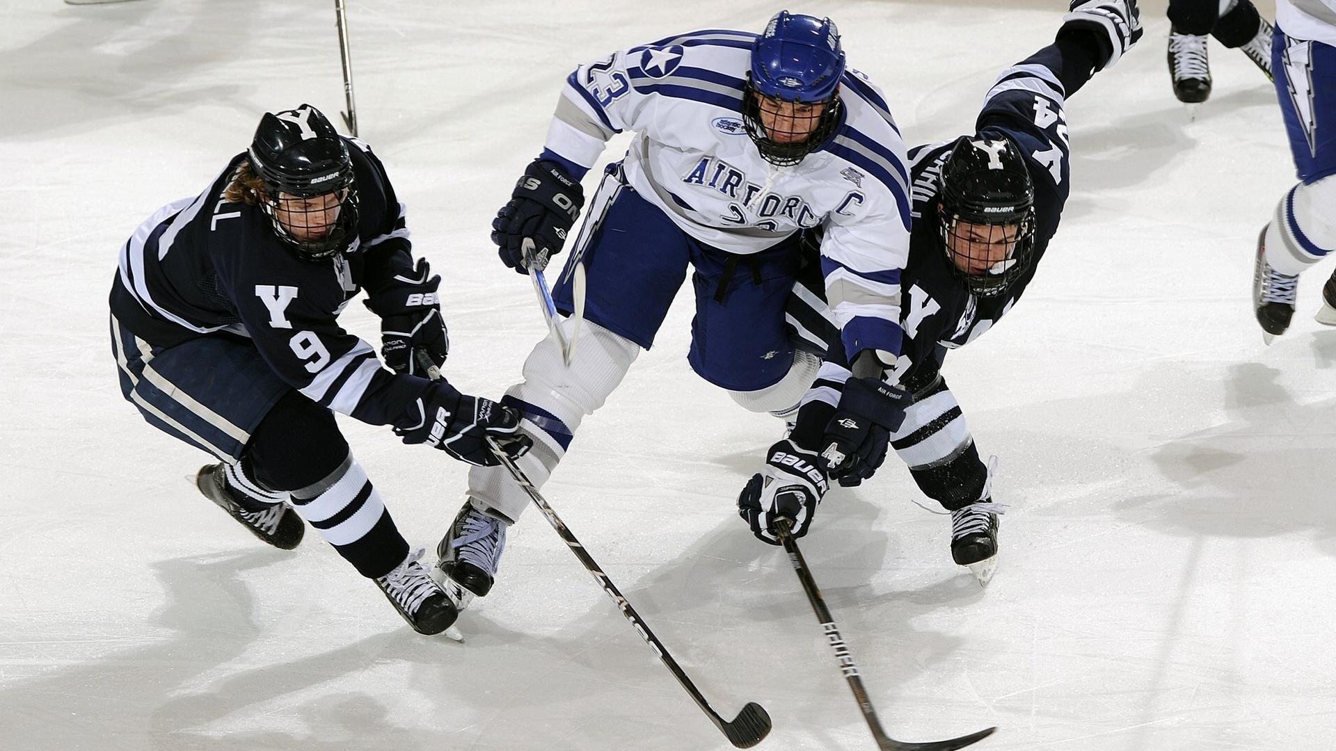 体育赛事数字平台